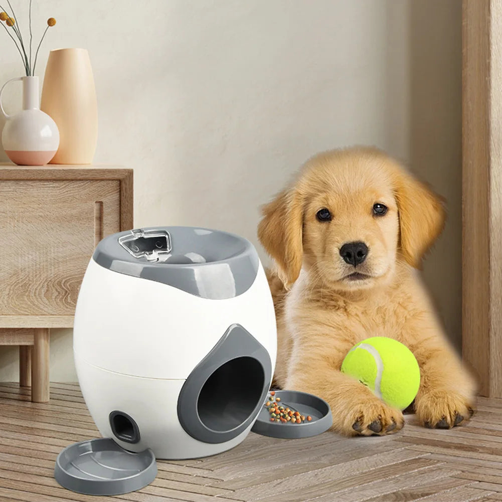 Lançador automático de bolas para cães, lento para cães de pequeno e médio porte.