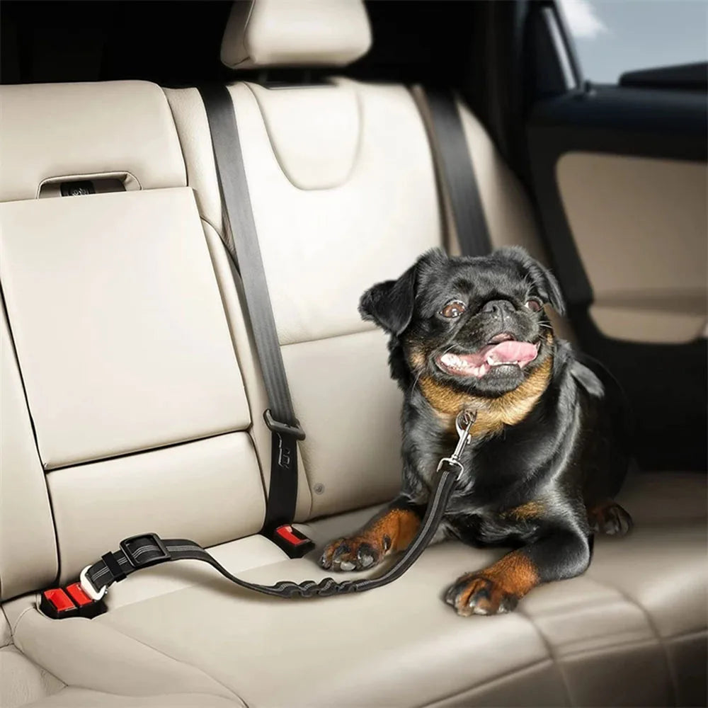 Cinto de segurança ajustável para cães em carro, feito de nylon com acolchoamento refletivo e elástico. Acessório ideal para viagens de carro com seu cão.