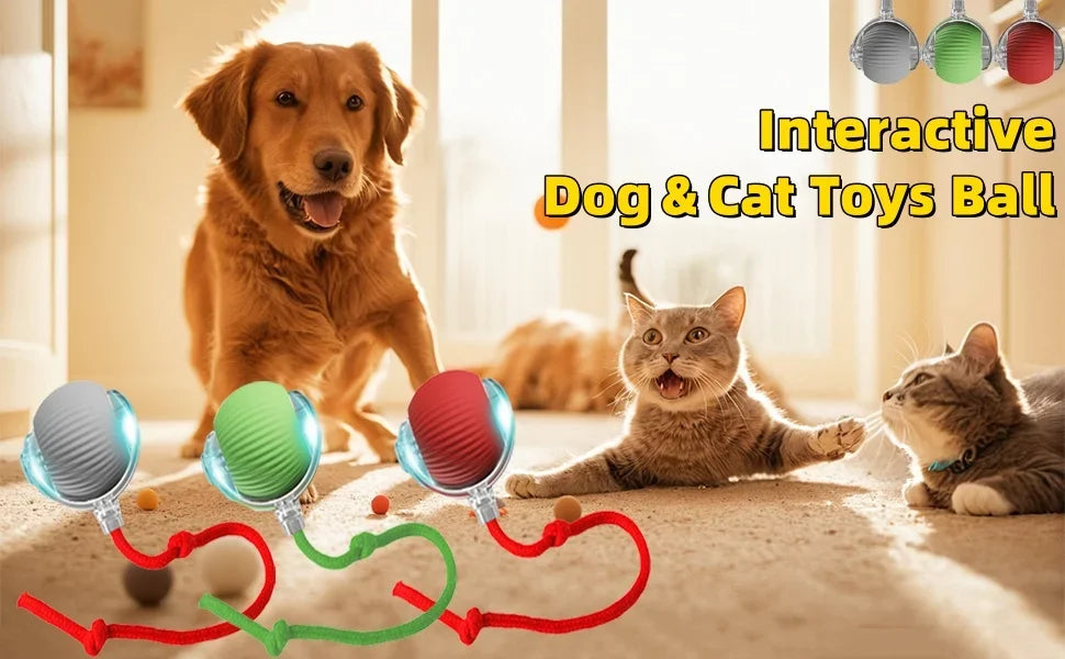 Conj. 3 Bolas interativa automática recarregável para gatos com cauda artificial, brinquedo inteligente sem fio com sensor de movimento para gatos de interior.