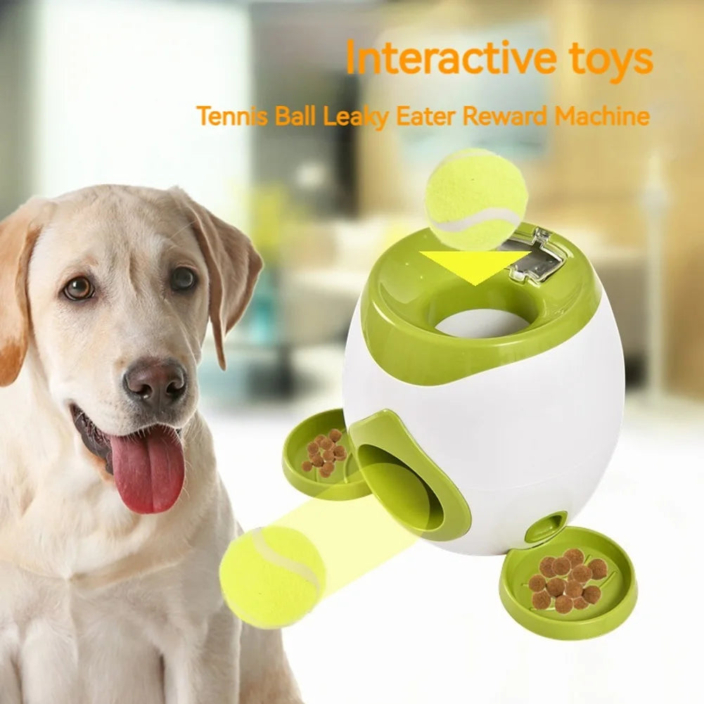 Lançador automático de bolas para cães, lento para cães de pequeno e médio porte.