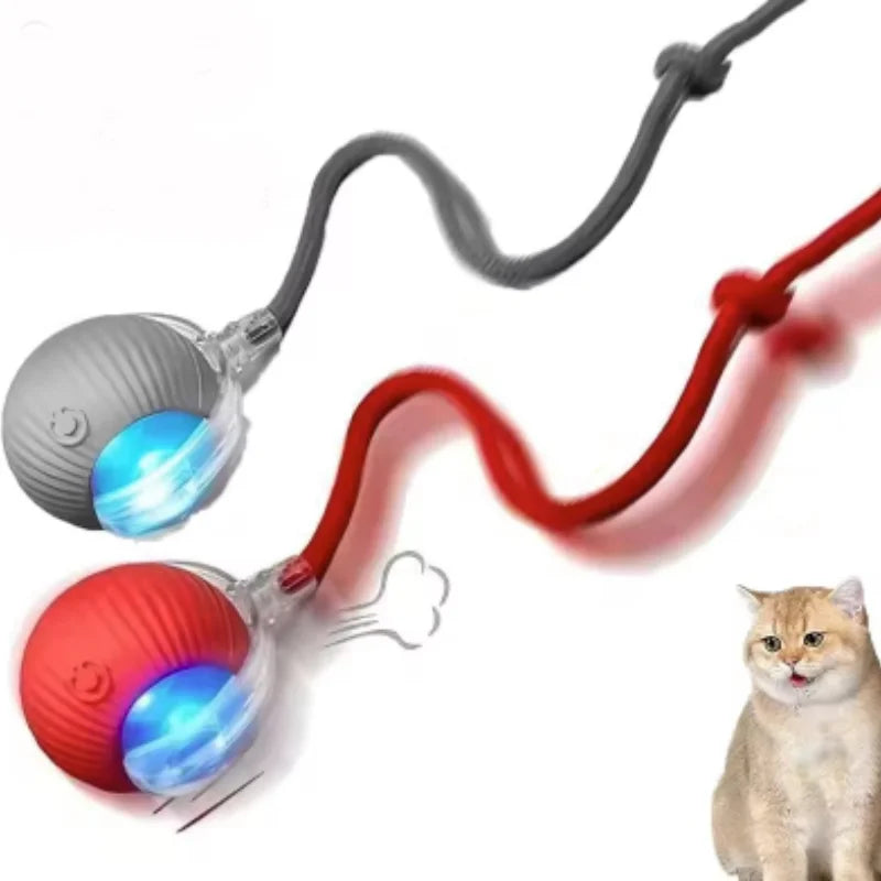 Set of 2 interactive cat balls with USB rechargeable motor and random rolling motion.
