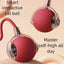 Set of 2 interactive cat balls with USB rechargeable motor and random rolling motion.