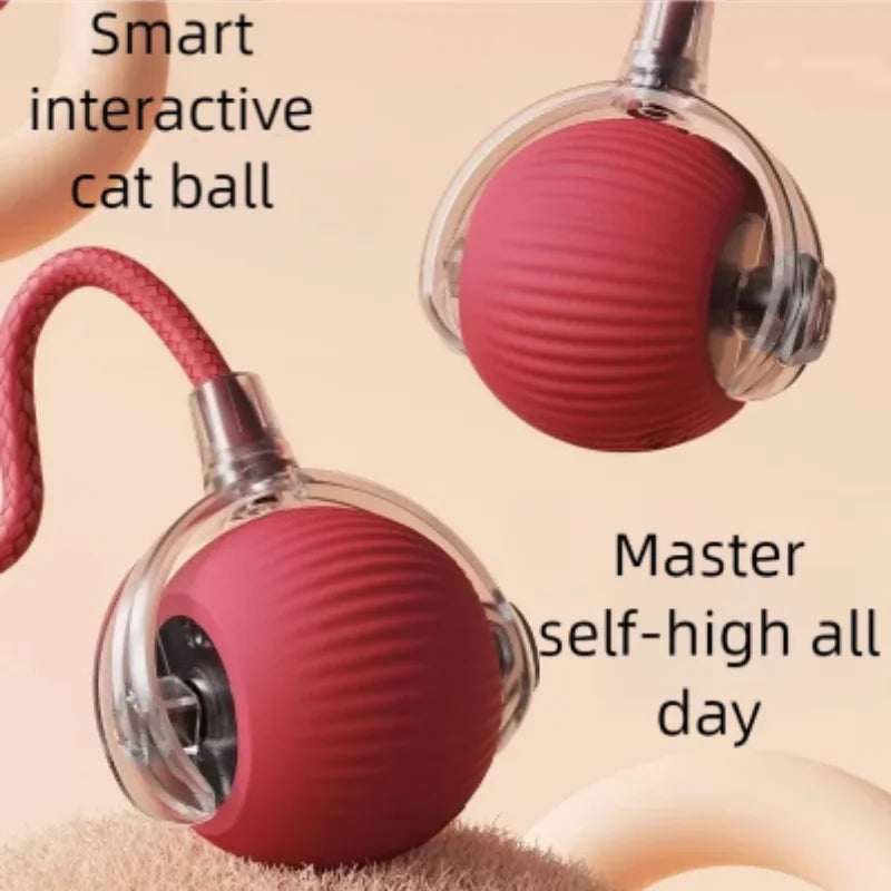 Set of 2 interactive cat balls with USB rechargeable motor and random rolling motion.