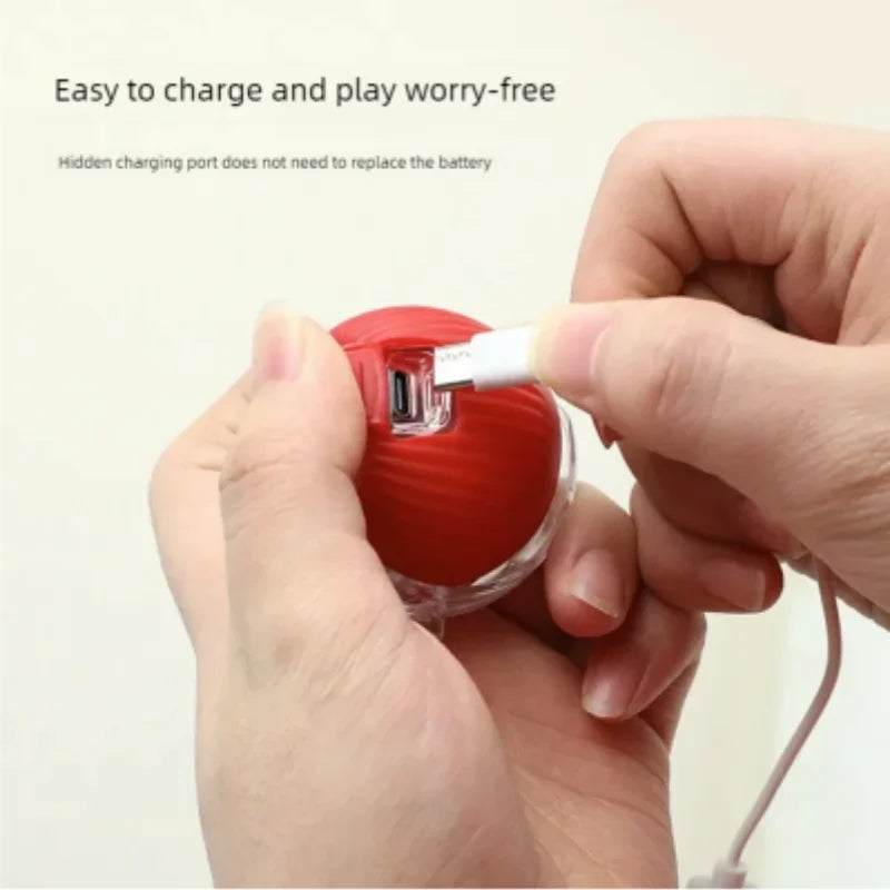 Set of 2 interactive cat balls with USB rechargeable motor and random rolling motion.