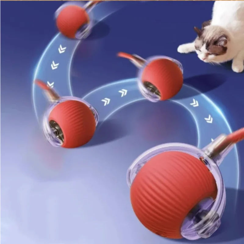Set of 2 interactive cat balls with USB rechargeable motor and random rolling motion.