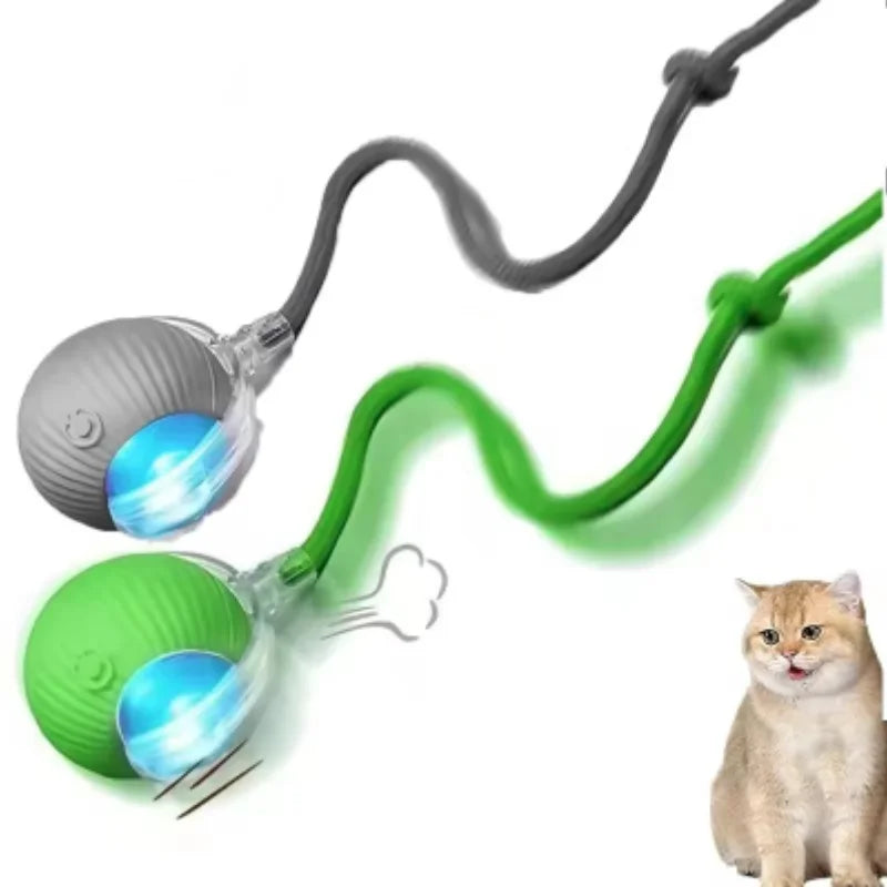 Set of 2 interactive cat balls with USB rechargeable motor and random rolling motion.