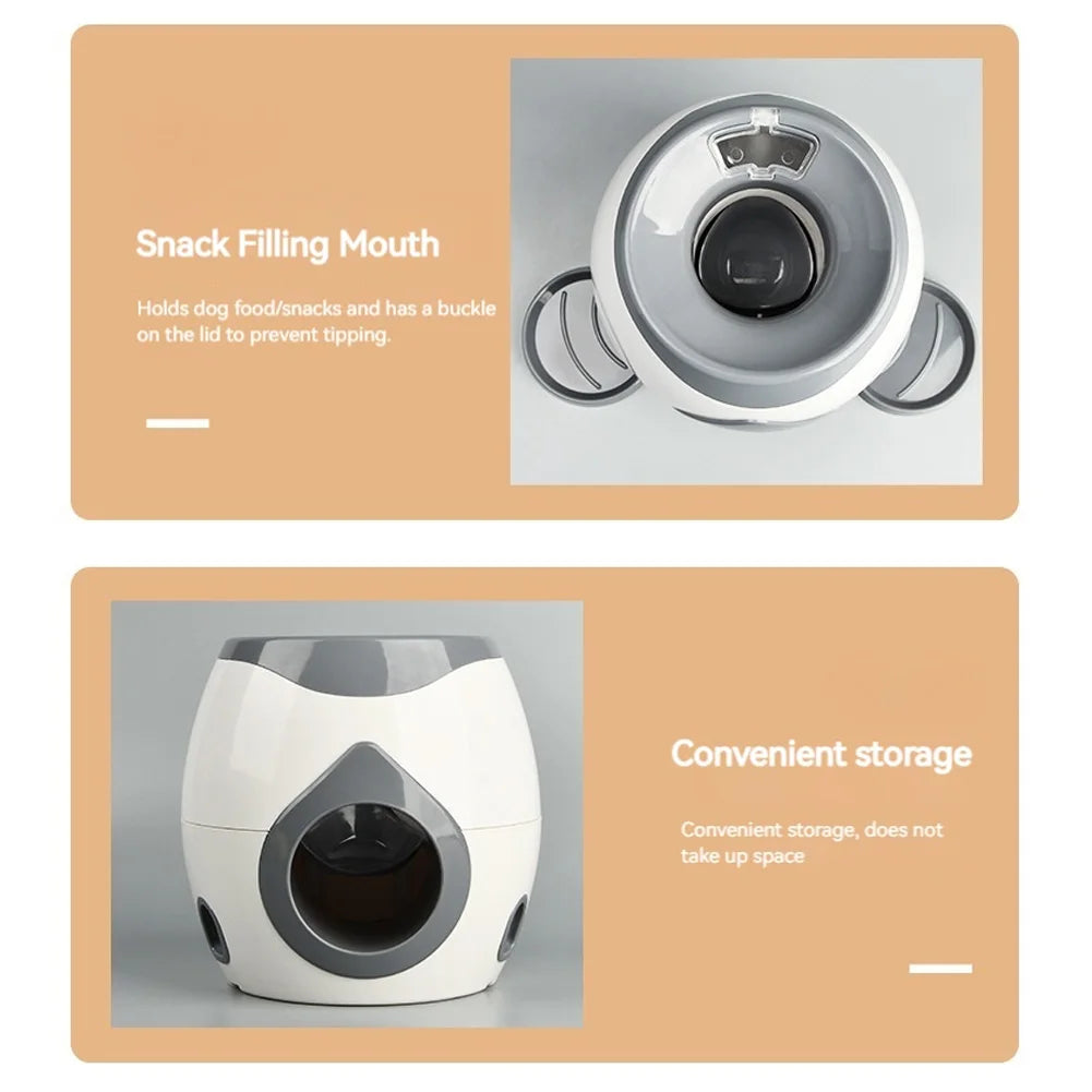 Lançador automático de bolas para cães, lento para cães de pequeno e médio porte.