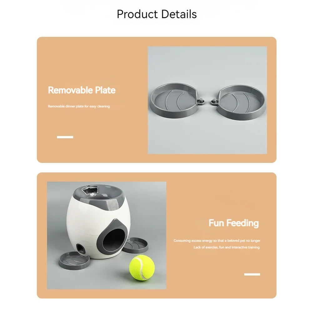 Lançador automático de bolas para cães, lento para cães de pequeno e médio porte.