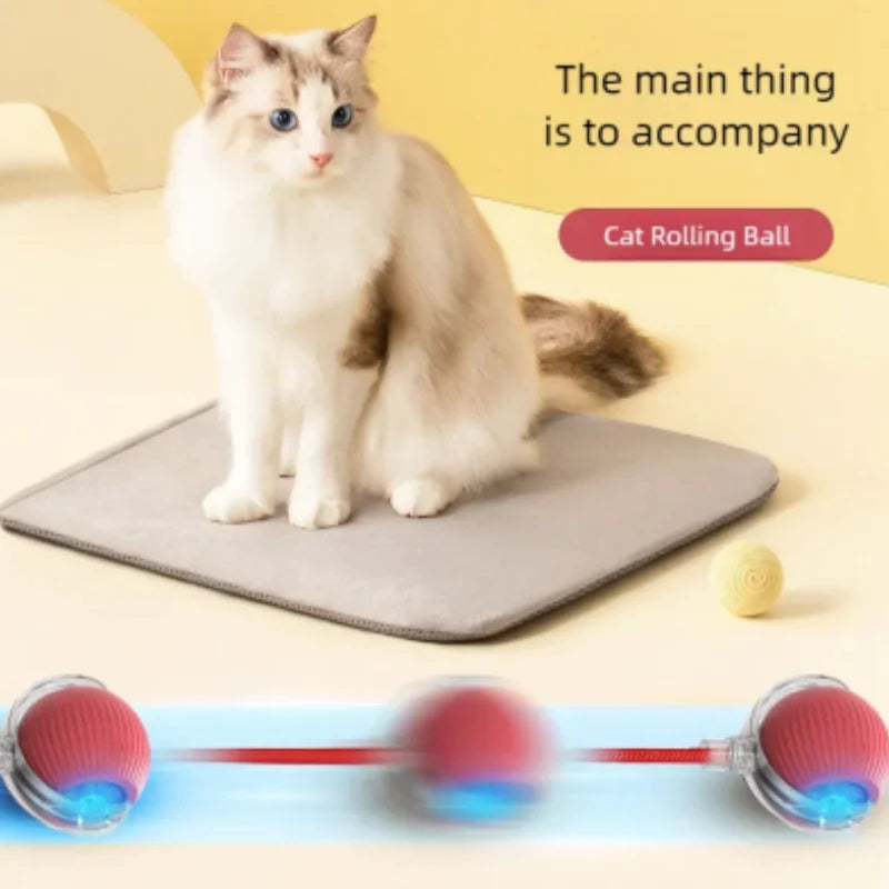 Set of 2 interactive cat balls with USB rechargeable motor and random rolling motion.