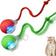 Set of 2 interactive cat balls with USB rechargeable motor and random rolling motion.