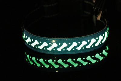 Coleira de couro gravada com LED luminoso para cães de estimação