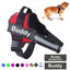 Arnês para cães personalizado, sem puxar, refletivo, respirável, ajustável, colete para cães pequenos e grandes, com patch personalizado, suprimentos para animais de estimação
