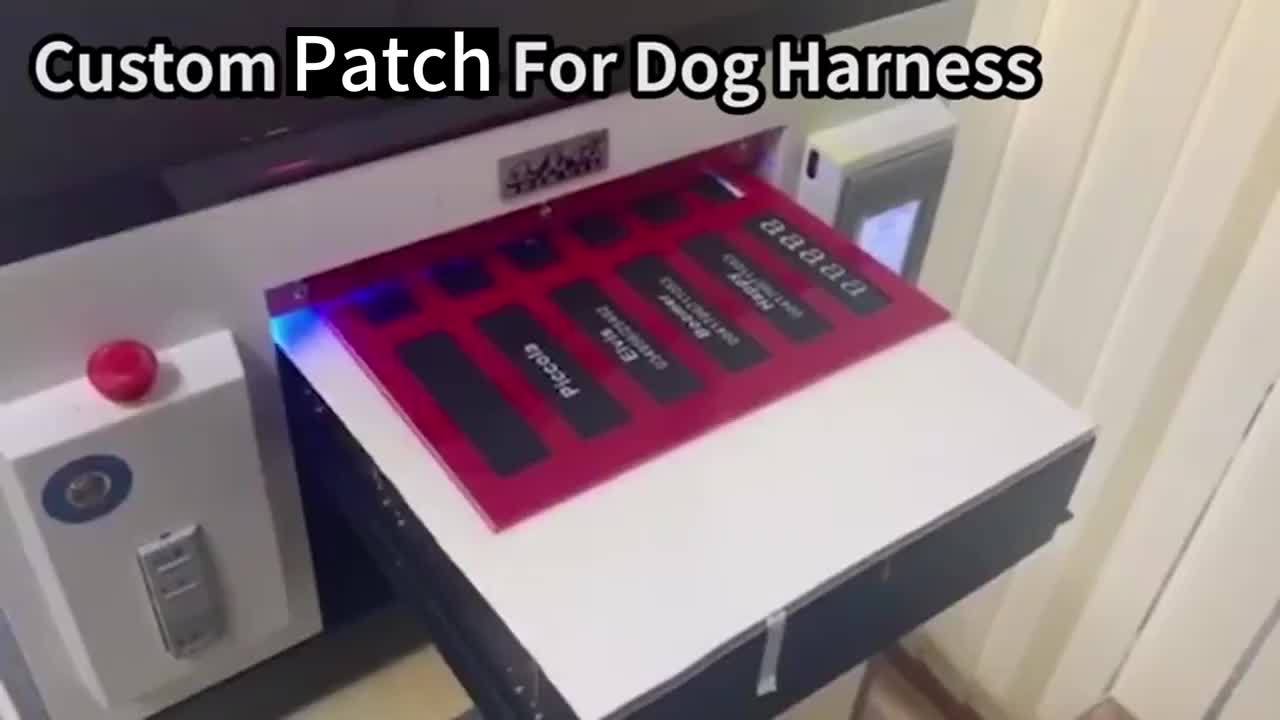 Arreio Refletivo Personalizável para Cães - Anti-Fuga, Colete de Peito Ajustável para Animais de Estimação com Nome e Número de Telefone Personalizados