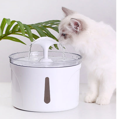 Dispensador de água para animais de estimação, filtro circulante automático inteligente