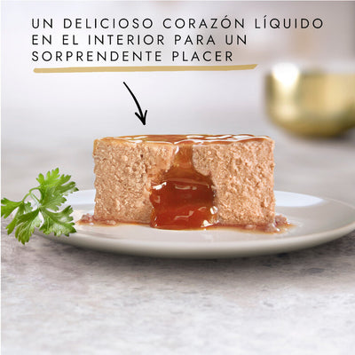 Gourmet Gold Fondant Atum patê em lata para gatos