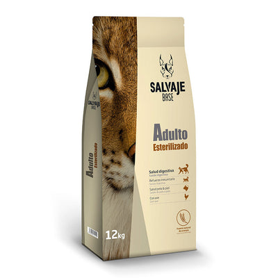 Aves ração para gatos