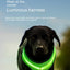 Peitoral luminoso LED para cães com carregamento USB, colete peitoral para cães