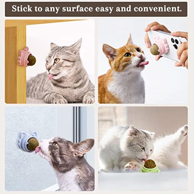 Bolas de catnip que grudam na parede Bolas de catnip para gatos Brinquedos de catnip para gatos Limpeza saudável dos dentes de gatinhos Brinquedos de mastigação dentais Guloseimas de parede para gatos